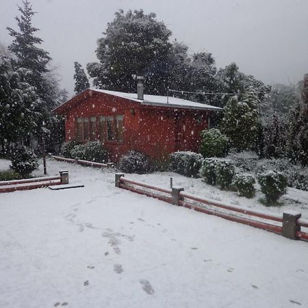 Puelche De Antuco Villa Bagian luar foto